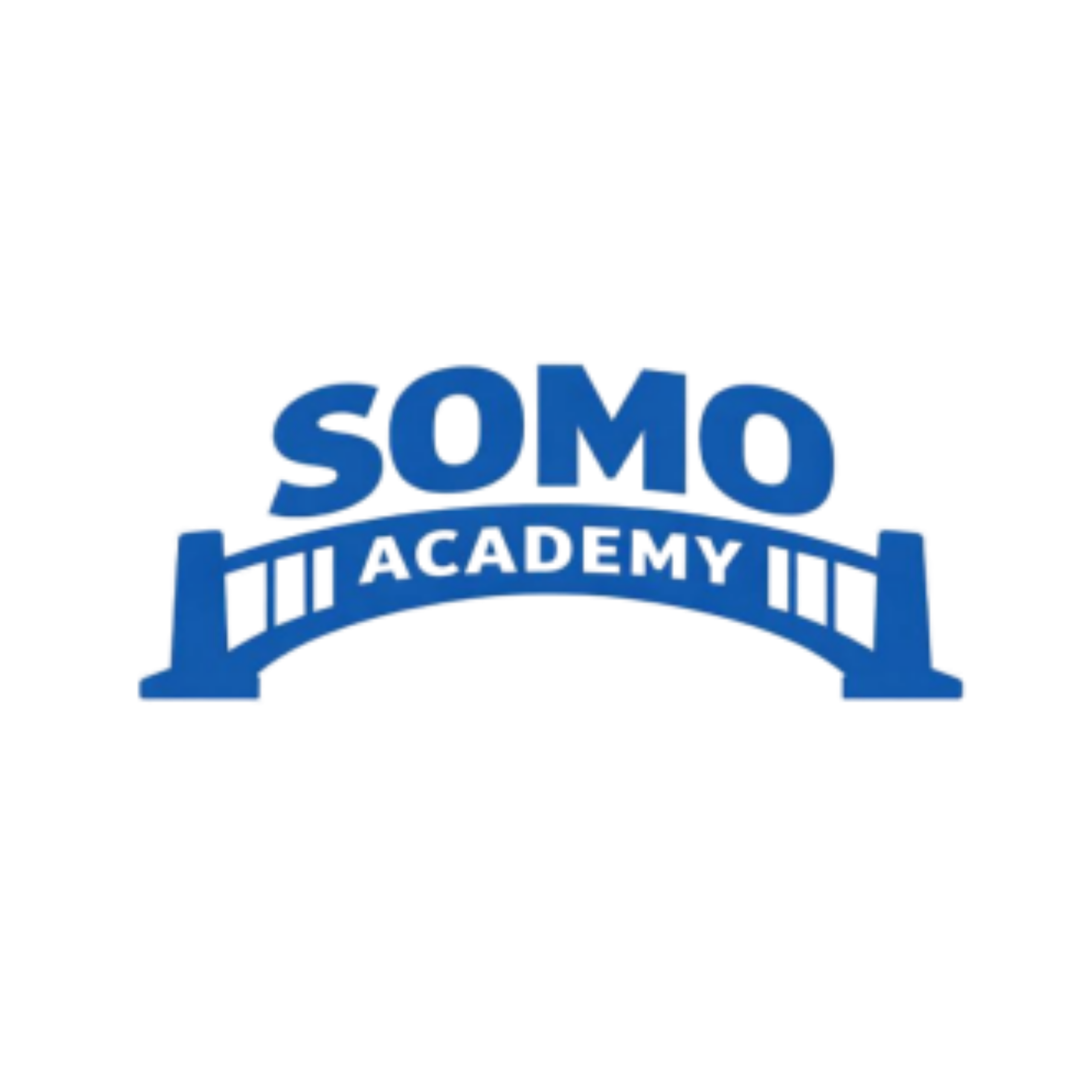 SOMO Academy Logo
